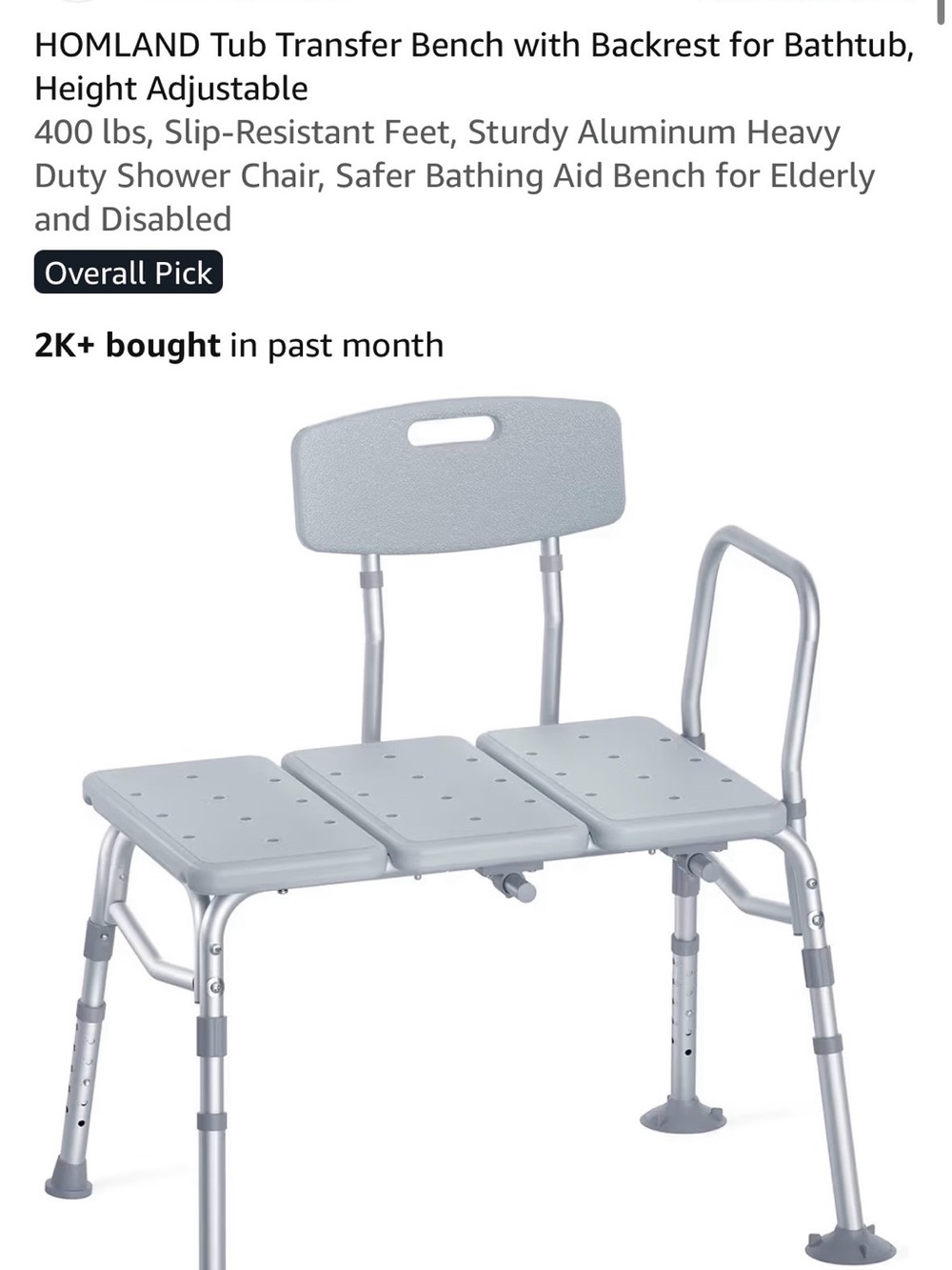 Silver Bath Transfer Bench with Backrest and Arm Handle